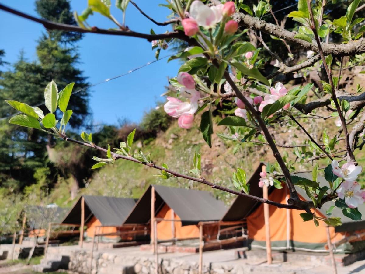 Himtrek Riverside Camps & Hostel Manali Exterior foto