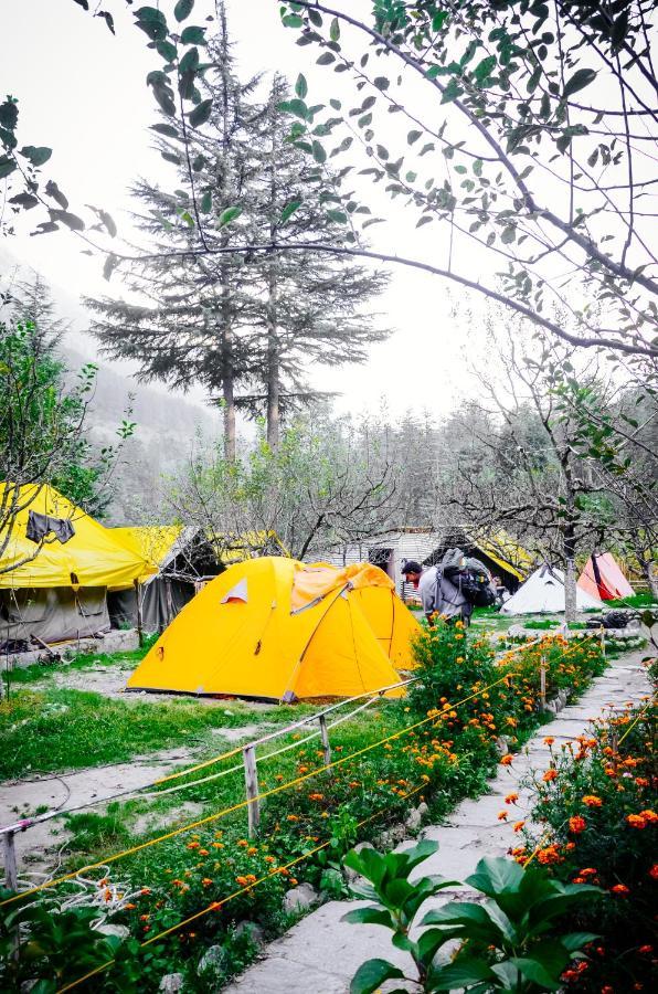 Himtrek Riverside Camps & Hostel Manali Exterior foto